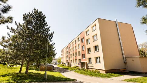Byt 1+1 v Židlochovicích - #9