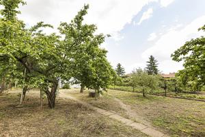 Nabídka přes realitního makléře Brno: Rodinný dům Brno - Chrlice 15