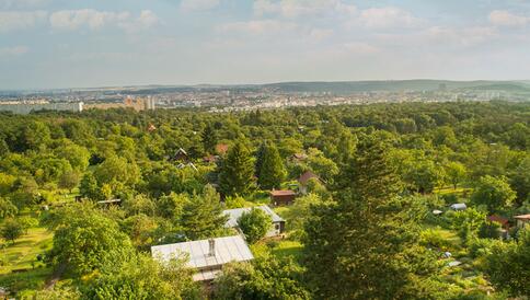Chata se zahradou, Brno - Sadová - #14