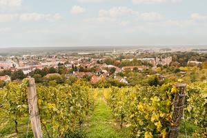 Nabídka přes realitního makléře Brno: Rodinný dům v Bzenci, po kompletní rekonstrukci 20