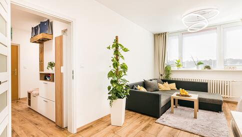 Byt 3+1+šatna po kompletní moderní rekonstrukci Brno - Štýřice - #2
