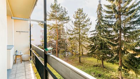 Byt 2+1, Brno-Lesná - #7